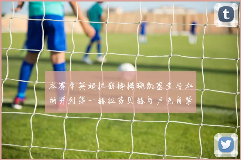 本赛季英超拦截榜揭晓凯塞多与加纳并列第一赫拉芬贝赫与卢克肖紧随其后